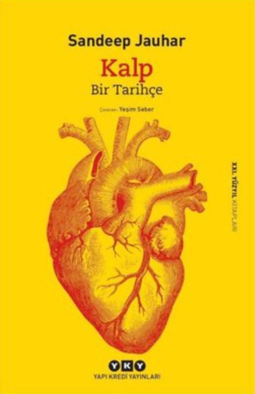 Kalp: Bir Tarihçe