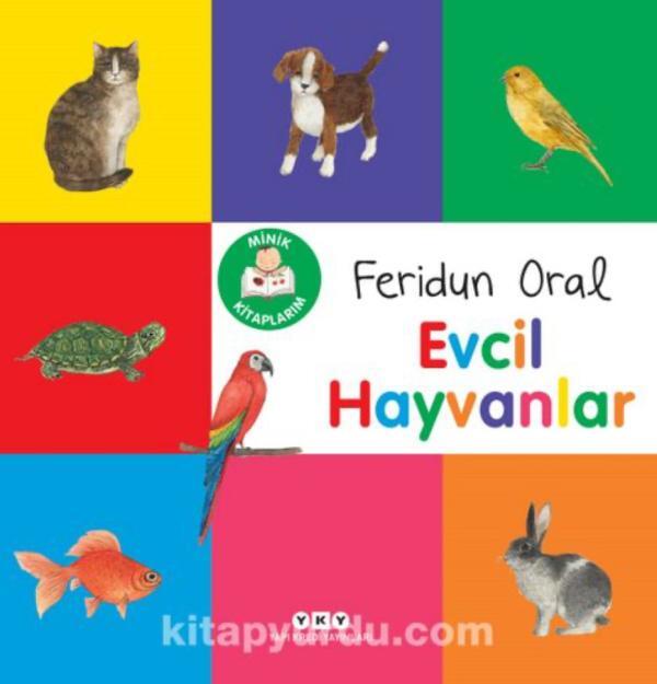 Evcil Hayvanlar