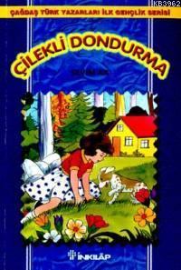 Çilekli Dondurma