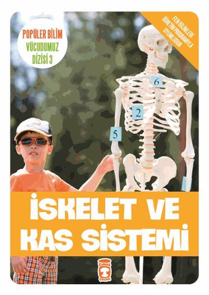 İskeler ve Kas sistemi