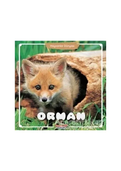 Orman