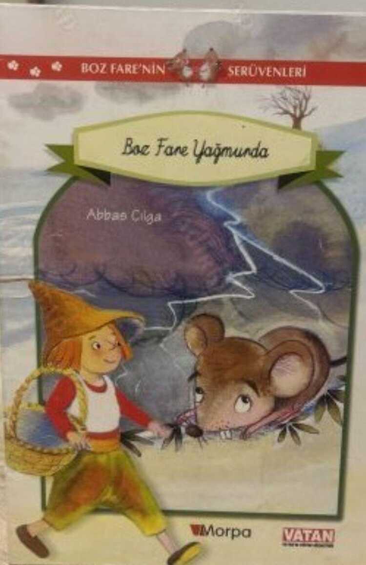 Boz Fare Yağmurda