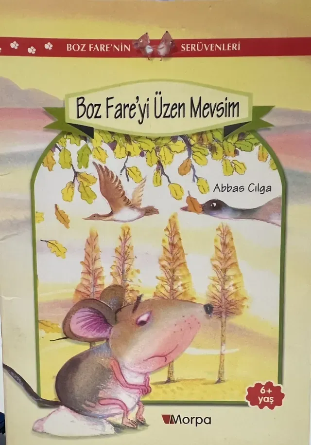 Boz Fareyi Üzen Mevsim