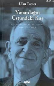 Yanardağın Üstündeki Kuş