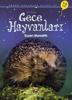 Gece Hayvanları