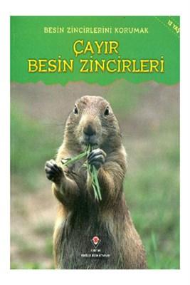 Çayır Besin Zincirleri