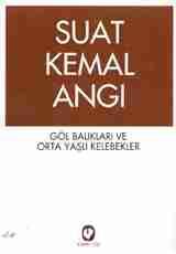 Göl Balıkları ve Orta Yaşlı Kelebekler