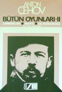 Bütün Oyunları 2