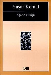Ağacın Çürüğü