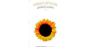 Günlerin İçinden