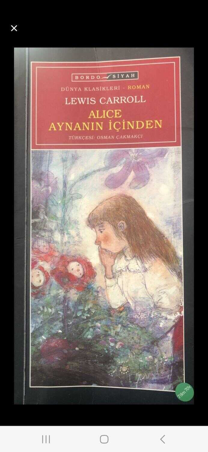 Alice Aynanın İçinden