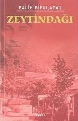 Zeytindağı