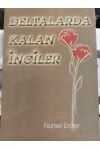 Deltalarda Kalan İnciler