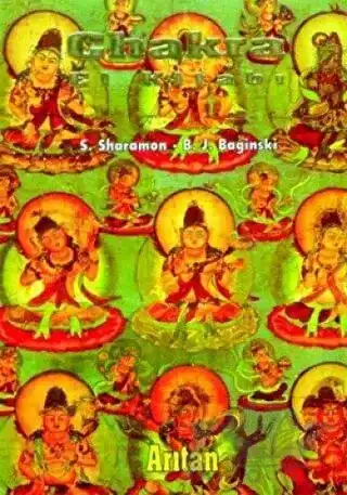 Chakra El Kitabı — B. J. Baginski