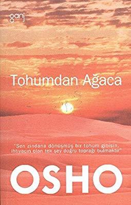 Tohumdan Ağaca