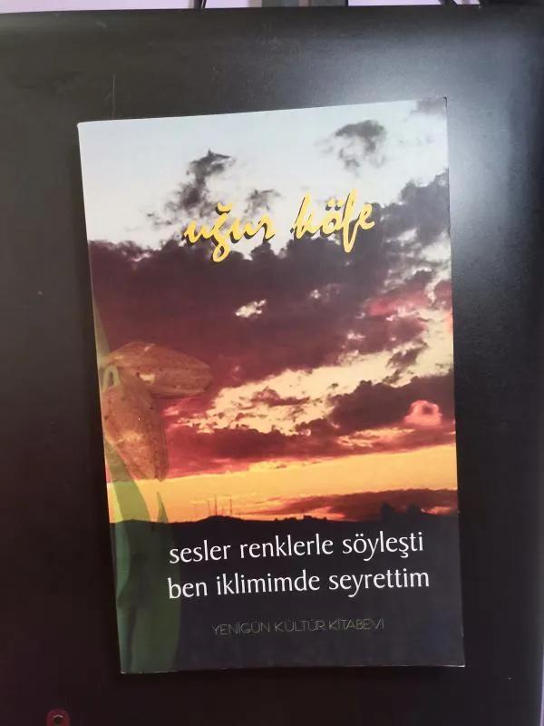 Sesler Renklerle Söyleşti Ben İklimimde Seyrettim