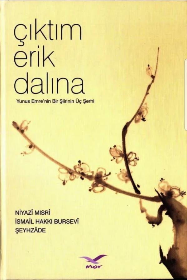 Çıktım Erik Dalına