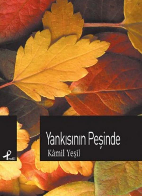 Yankısının Peşinde