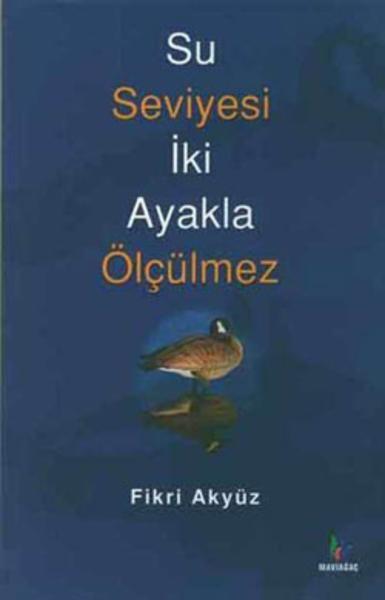 Su Seviyesi İki Ayakla Ölçülemez