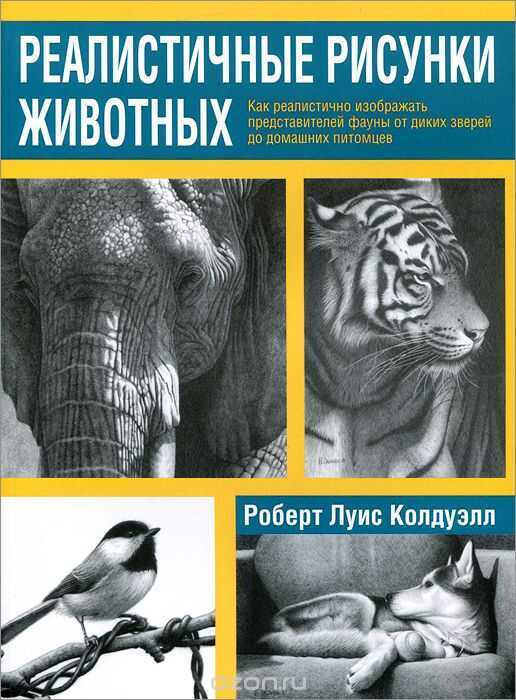 Реалистичные Рисунки Животных