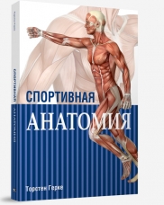 Спортивная Анатомия