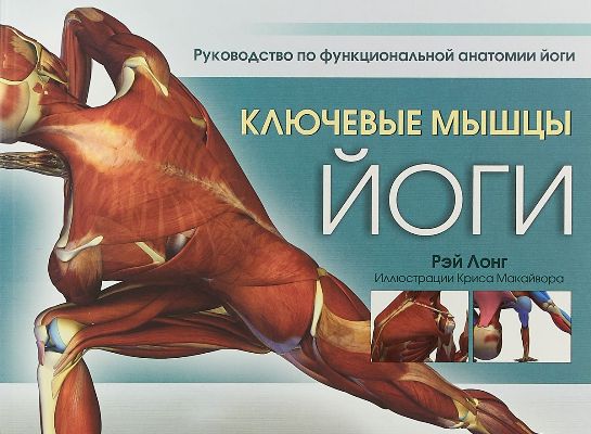 Ключевые Мышцы Йоги