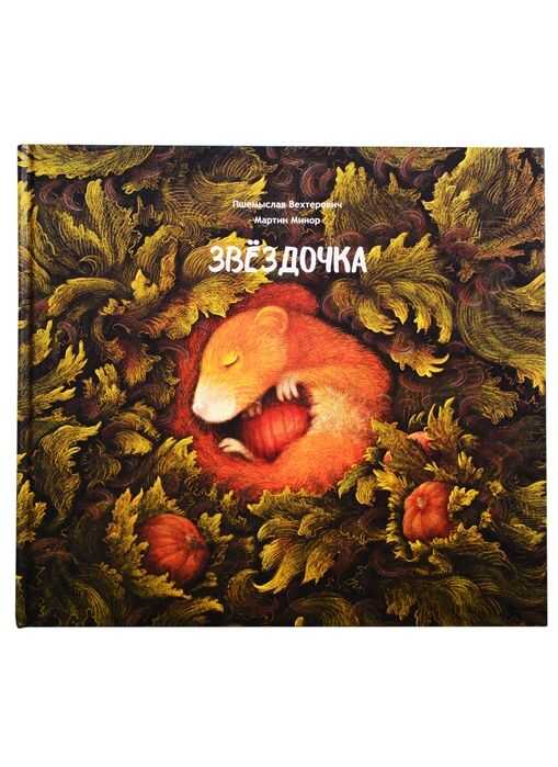 Звездочка