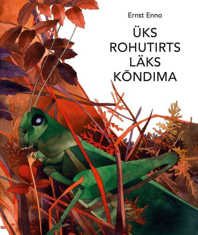 Üks rohutirts läks kõndima