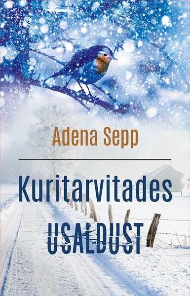 E-raamat: Kuritarvitades usaldust