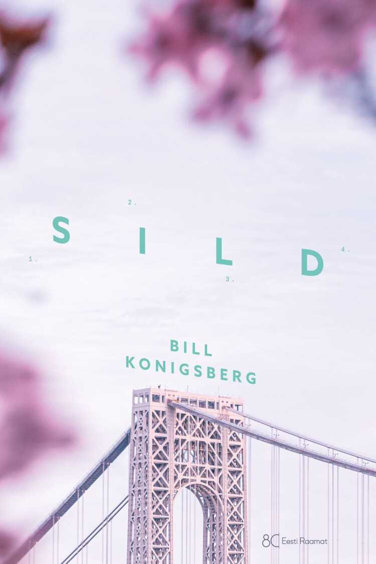 E-raamat: Sild