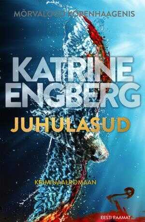 E-raamat: Juhulasud