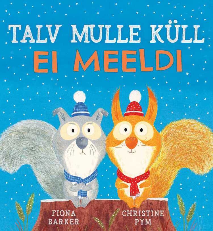 Talv mulle küll ei meeldi