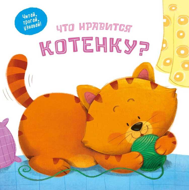Что нравится котенку?