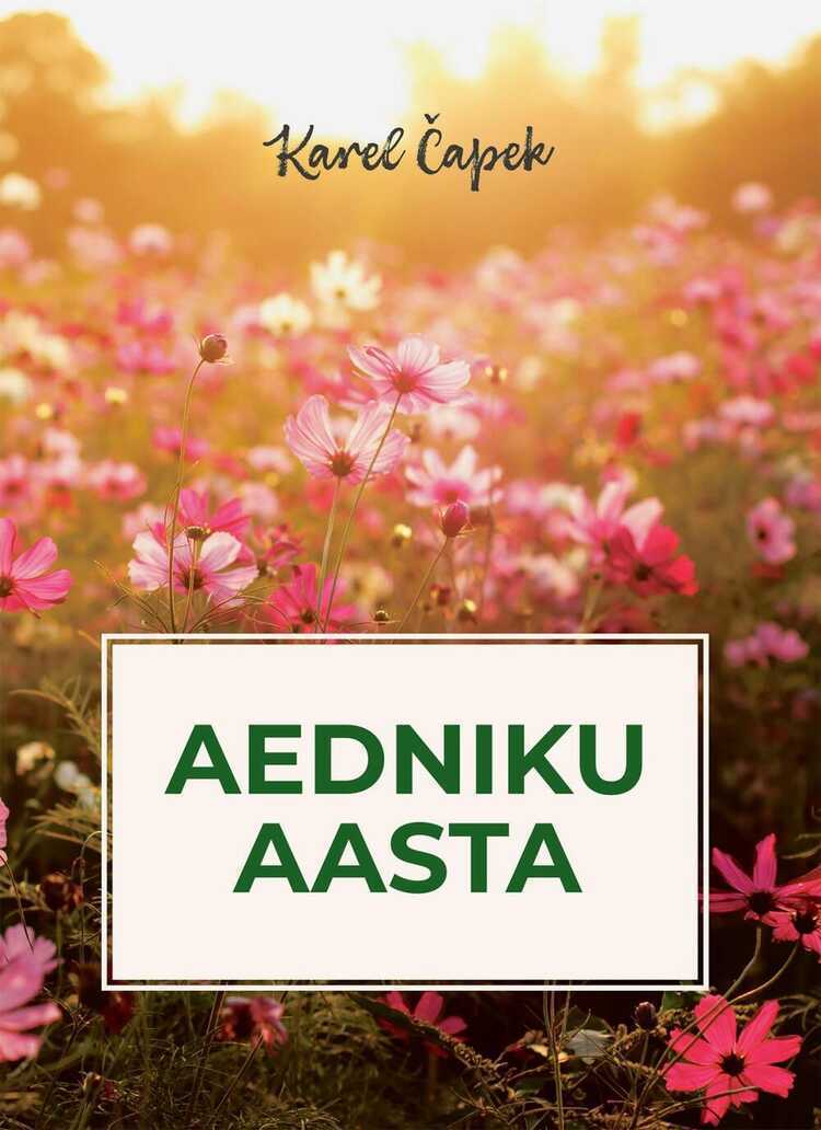 Aedniku aasta