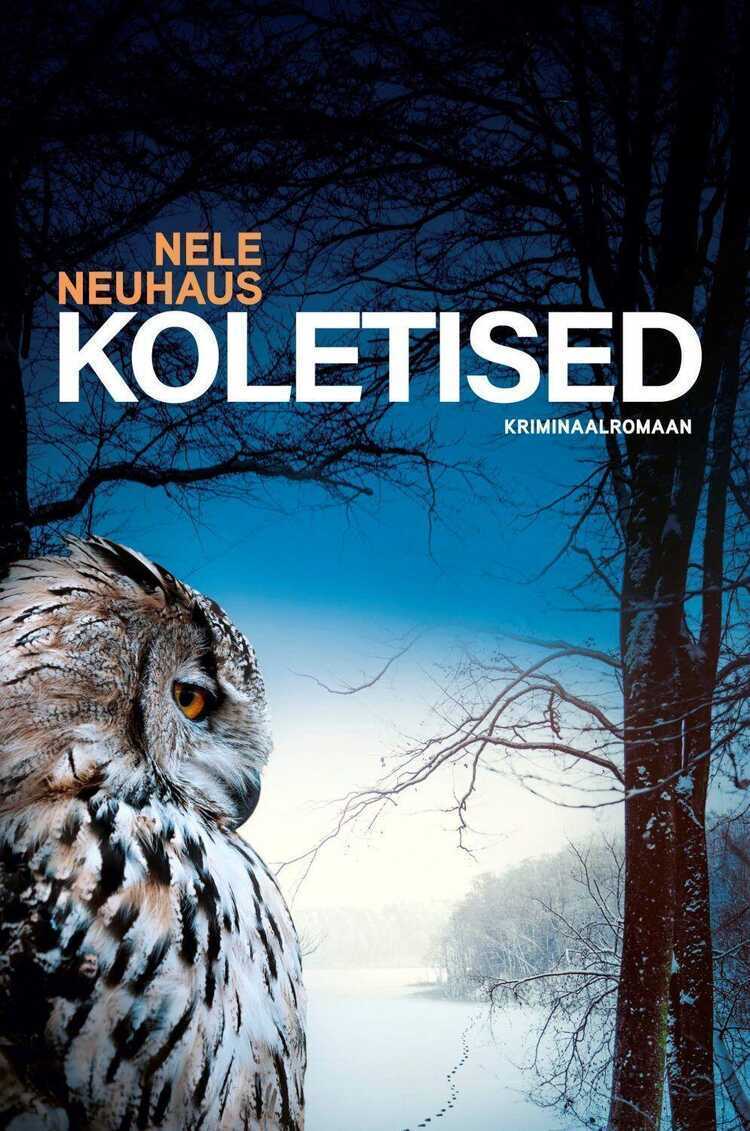 E-raamat: Koletised