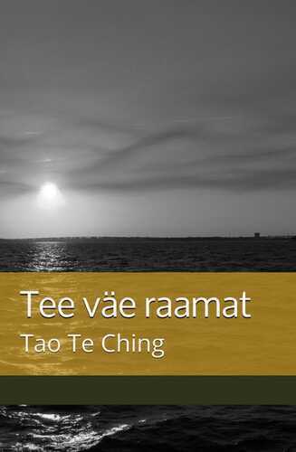 E-raamat: Tee väe raamat