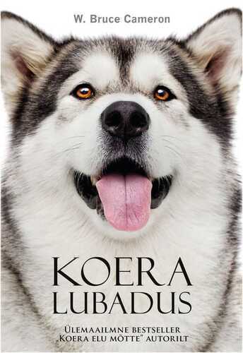 Koera Lubadus
