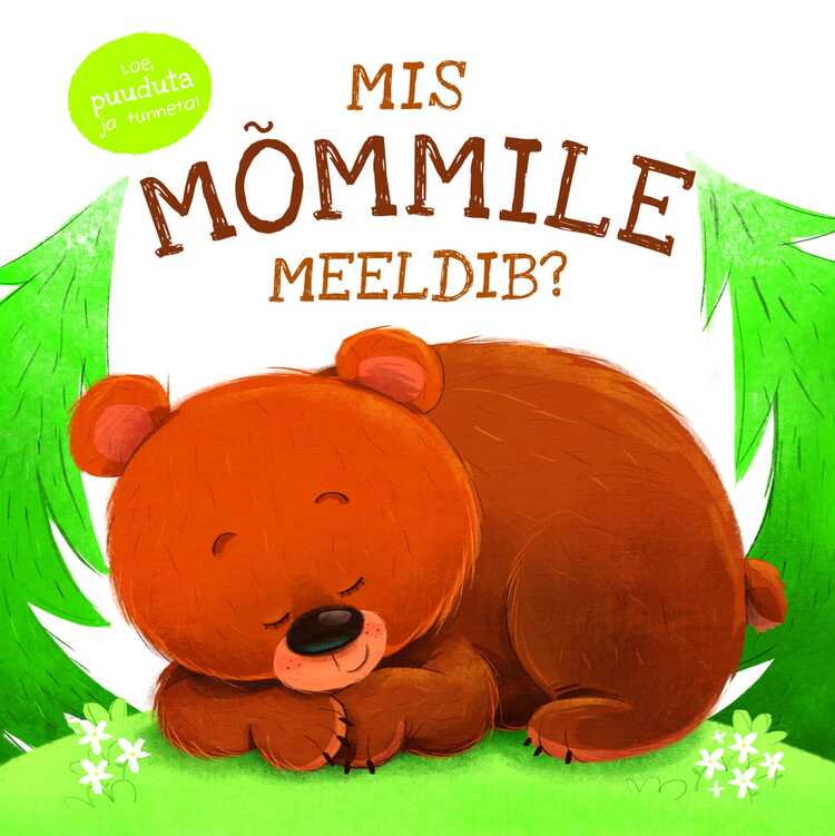 Mis mõmmile meeldib?