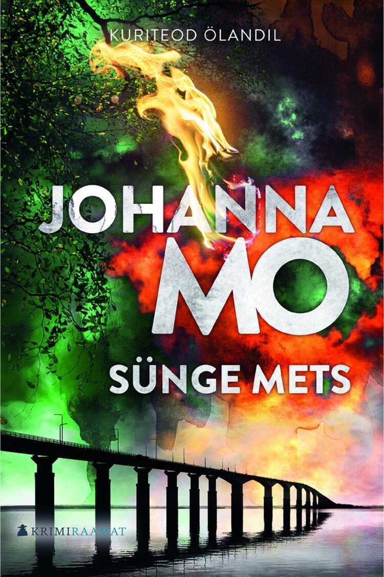 E-raamat: Sünge mets
