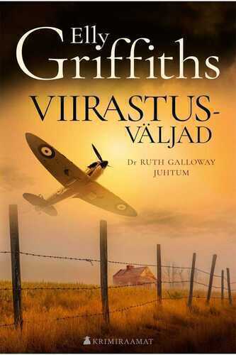 E-raamat: Viirastusväljad