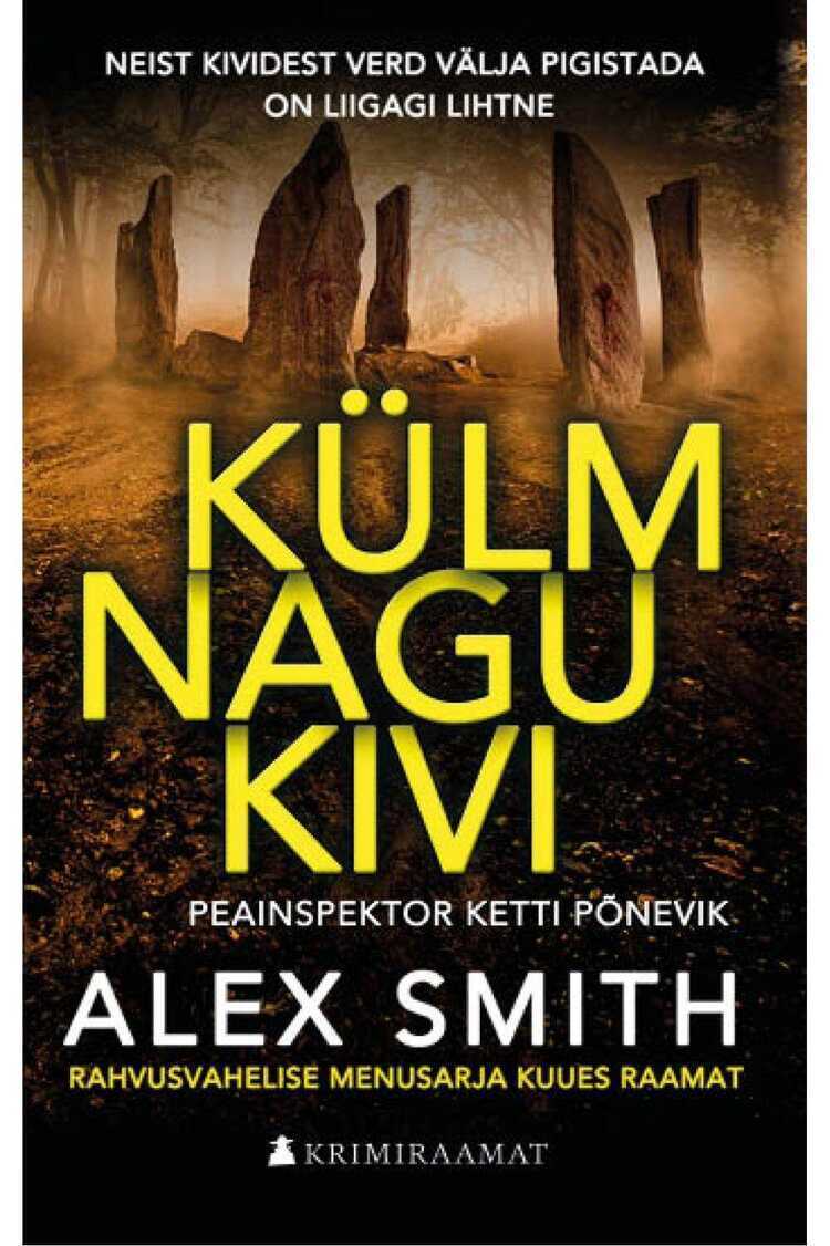 E-raamat: Külm nagu kivi