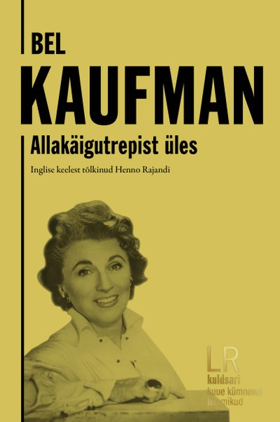 E-raamat: Allakäigutrepist üles