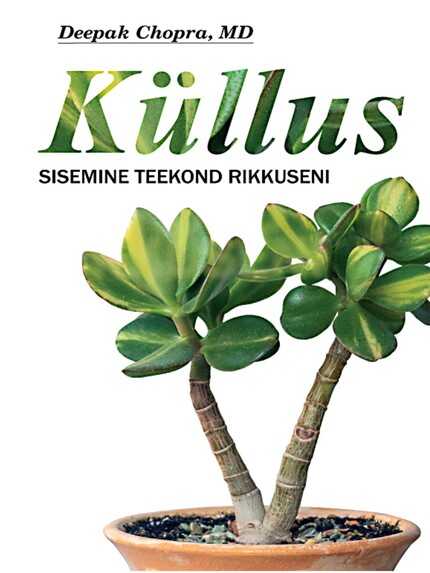 E-raamat: Küllus. Sisemine teekond rikkuseni