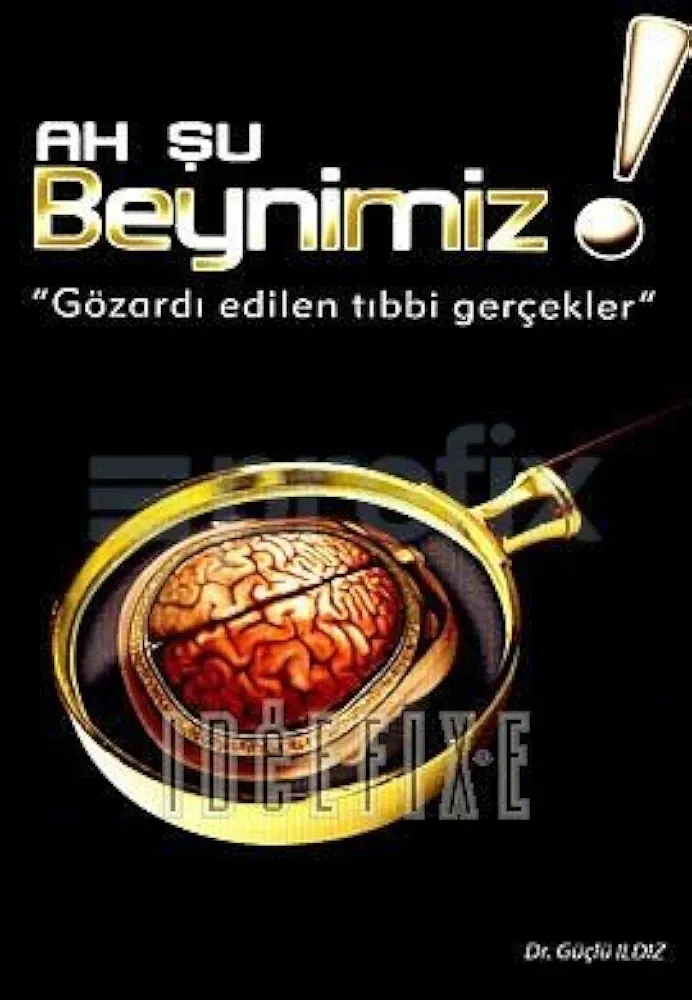 Ah Şu Beynimiz