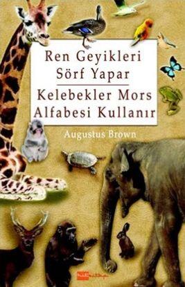 Ren Geyikleri Sörf Yapar Kelebekler Mors Alfabesi Kullanır