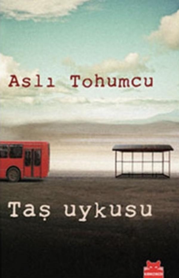 Taş Uykusu