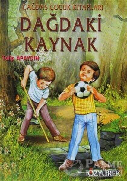 Dağdaki Kaynak