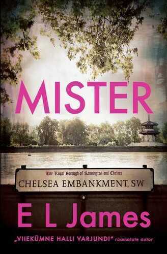 E-raamat: Mister