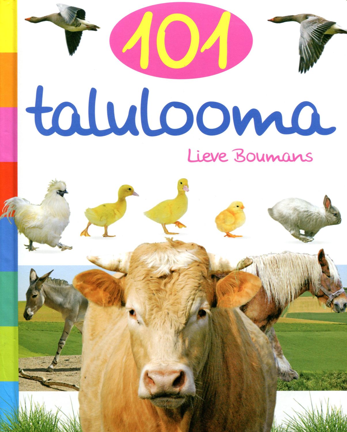101 talulooma