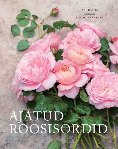 Ajatud Roosisordid